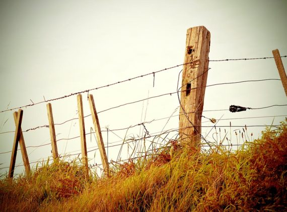 Fence-Filtered
